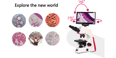 1產(chǎn)品概述英文.png 1產(chǎn)品概述英文.png